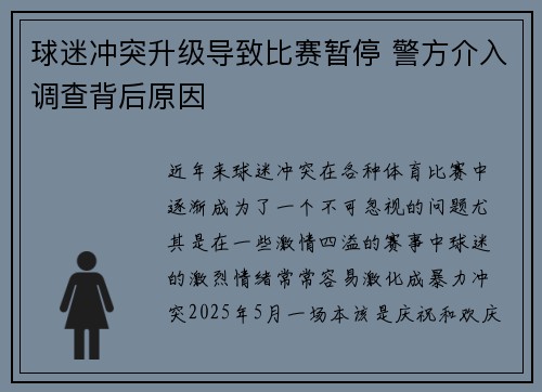球迷冲突升级导致比赛暂停 警方介入调查背后原因